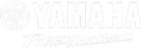 20250326_composite_yamaha-golf-car_inline_5