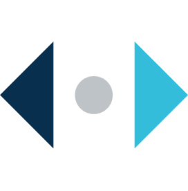 20250225_icon_services_digital-platforms_272x276_rgb